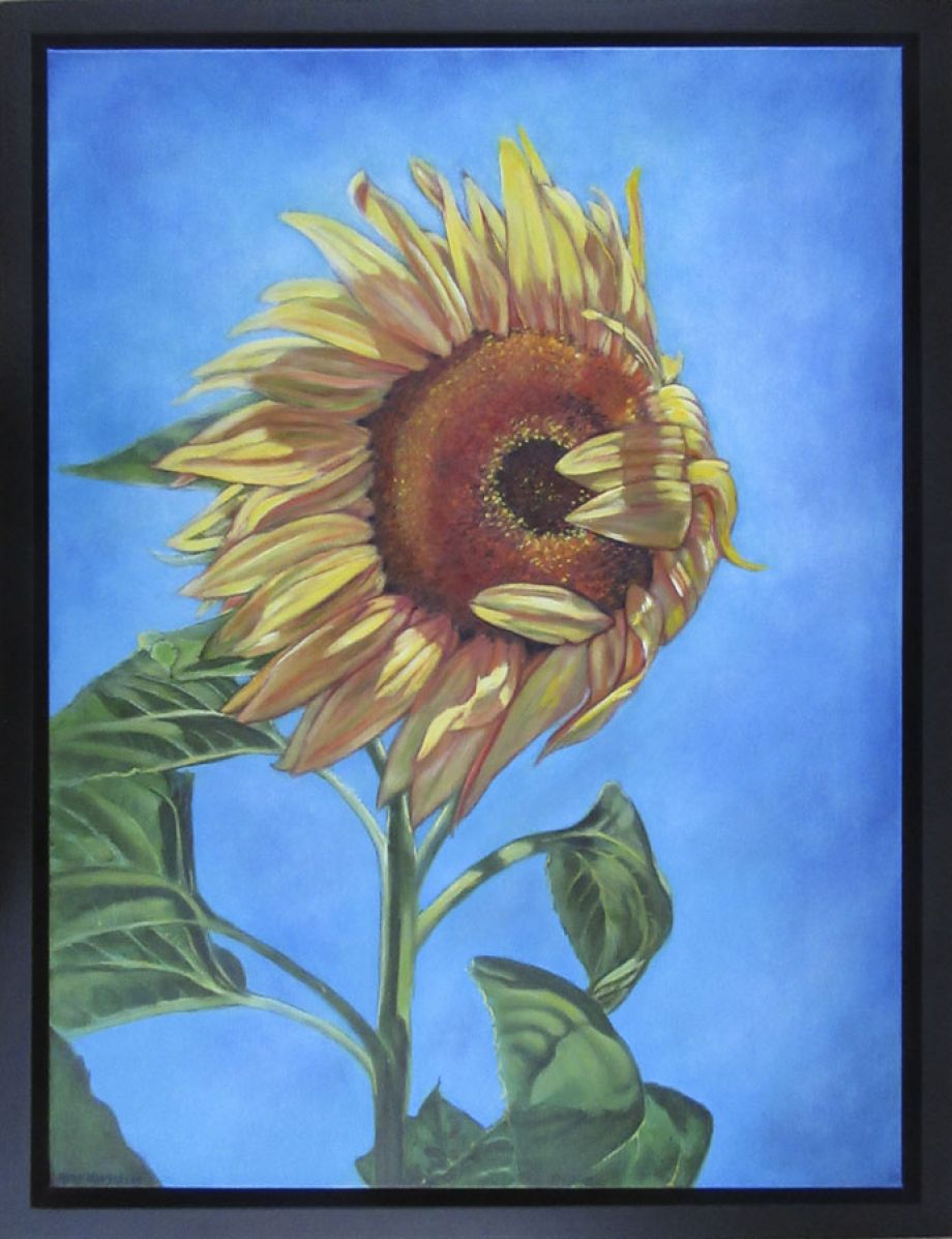 Artword by Judy Henderson