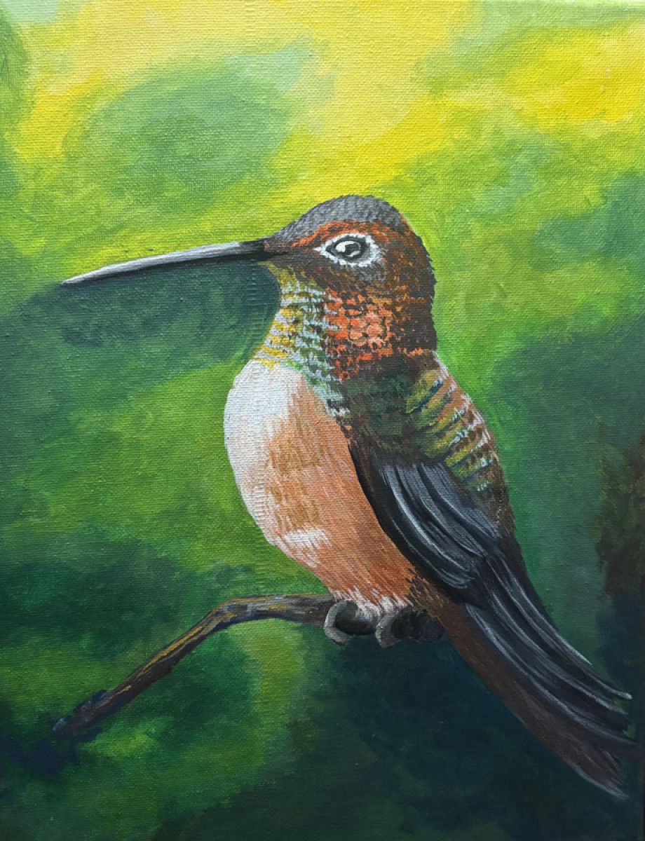 Artword by Brenda Nelson